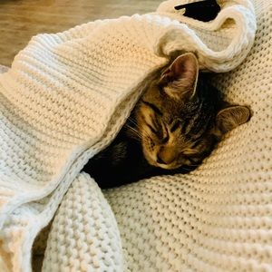 Meet your Posher, Michelle